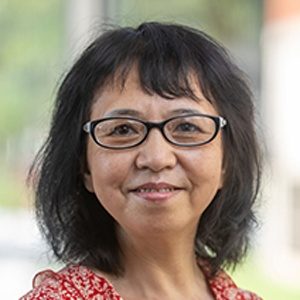 Limei Yang, MD