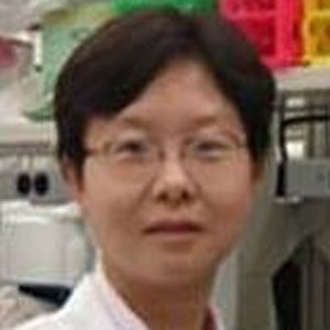 Hong Zhao