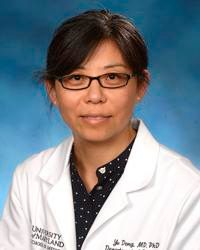 Yu Dong, PhD, MD