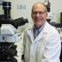 Michael Levin, FRCPC, MD, FANA, FAAN