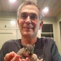 Karl Steinberg, MD
