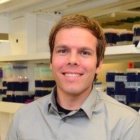 Ward Fickweiler, MD