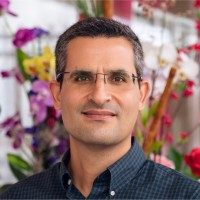 Ahmad Aswad, MD