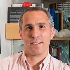 Sydney Cash, PhD, MD