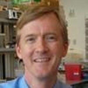 Perry Bickel, MD