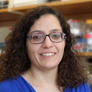 Carmen Halabi, MD, PhD