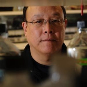 Eugene Chang, MD