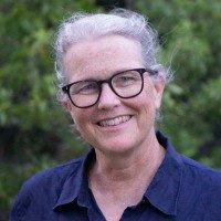 Brigid McCue, MD