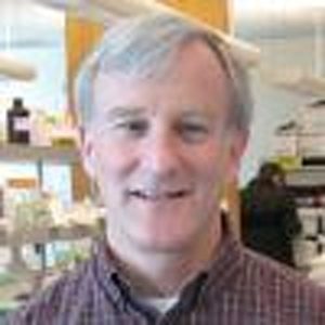 Robert Messing, MD