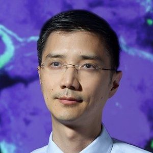 Mark Wu, PhD, MD