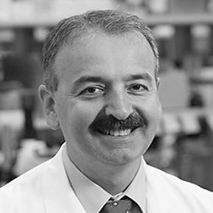 Ahmet Hoke, PhD, MD