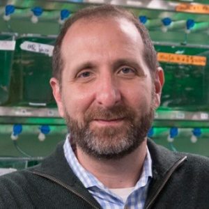 Richard White, MD, PhD
