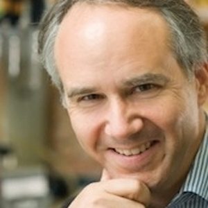 Daniel Geschwind