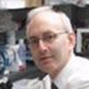Stephen Nimer, MD