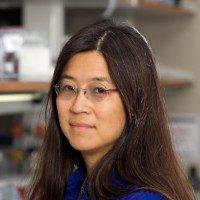 Louise Laurent, PhD, MD