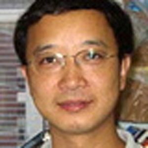 Tao Wang, MD, MSC, PhD