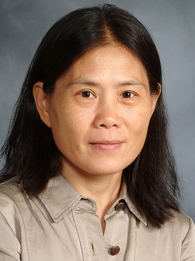 Wenhui Jin, FACOG, MD