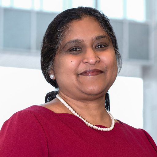 Thankam Thyvalikakath, PhD, DMD