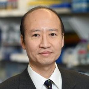 Stephen Tsang, PhD, MD